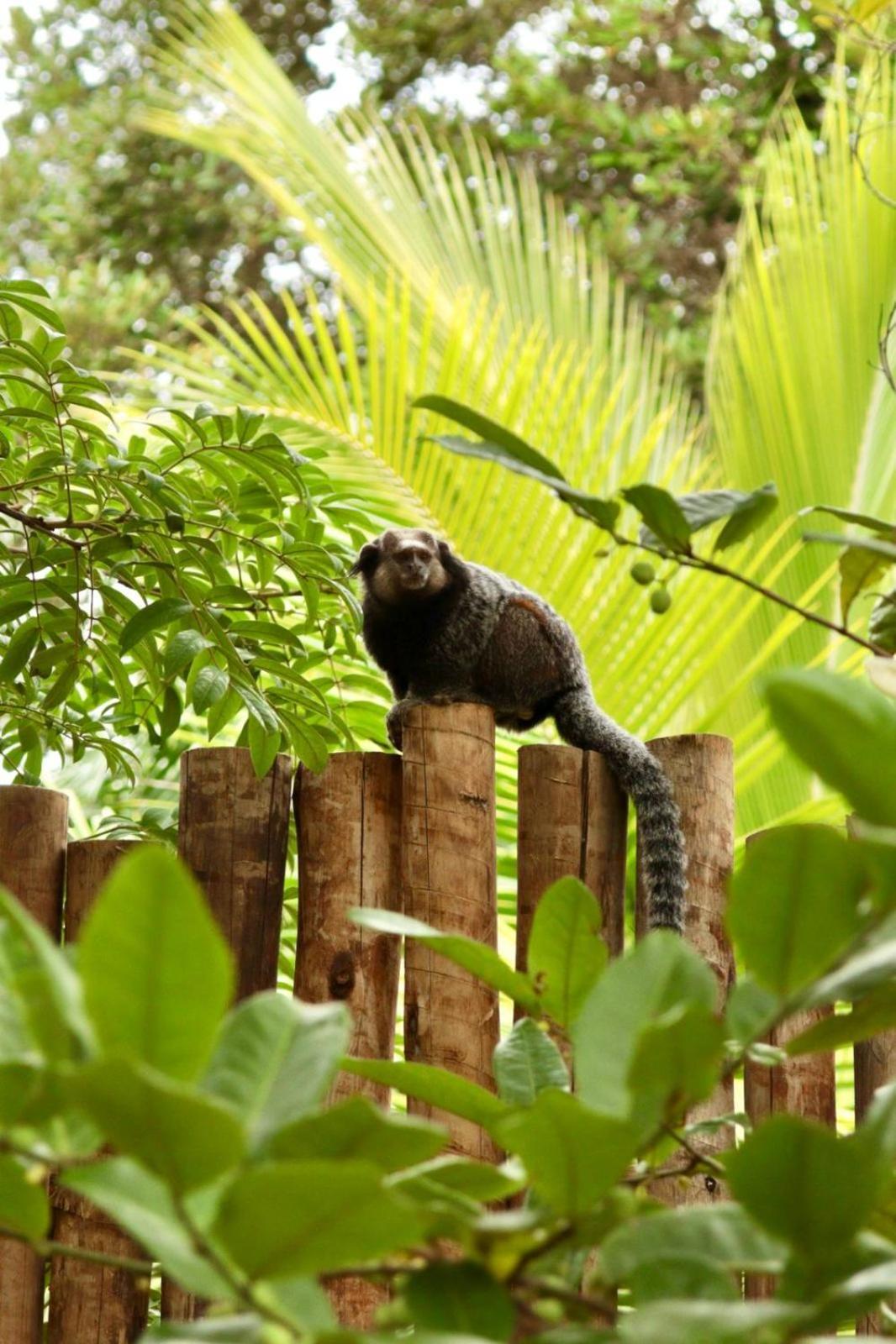 Cabana Fluir - Taipu De Fora - Peninsula De Marau Barra Grande  Esterno foto